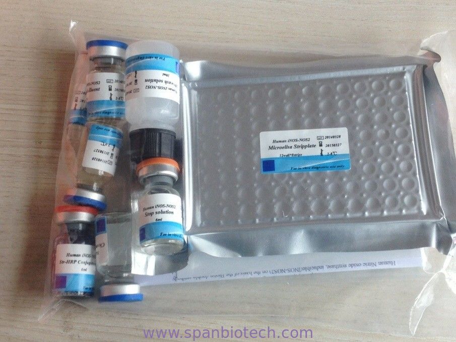 Human  Tumor Necrosis Factor α(TNF-α) ELISA Kit