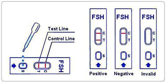 One-Step LH Rapid Test Uncut Sheet