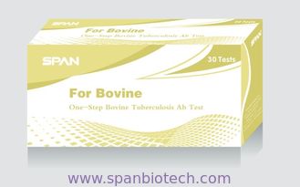 One-Step Bovine TB Ab Test