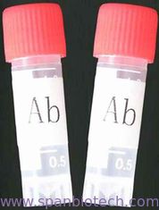 Monoclonal Antibody to Barbiturates(BAR)