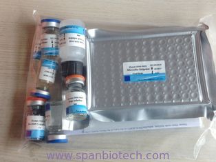 Ractopamine（Rac）ELISA Test Kit