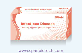 Salmonella Typhoid(S. typhi) IgG/IgM Rapid Test Uncut Sheet