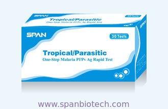 One-Step MALARIA Pf/Pv Ag Rapid Test Uncut Sheet,25T