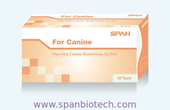 Canine Heartworm Ag CHW Rapid Diagnostic Test