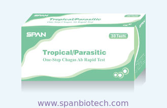 One-Step Influenza A&B Rapid Diagnostic Test