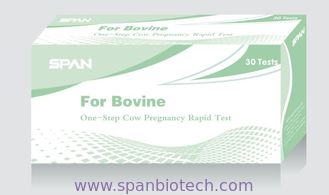 BP4 -  Bovine Pregnancy Rapid Test for Animal Tests - 6 specimens