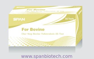 One-Step Bovine Tuberculosis Ab Rapid Test - Cassette/Uncut Sheet
