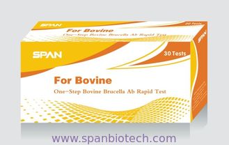 One-Step Bovine Brucella Ab Rapid Test - Cassette/Uncut Sheet
