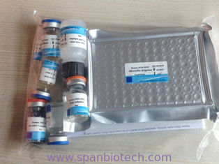 PRRS Ab - Porcine Productive and Respiratory Syndrome Ab Test