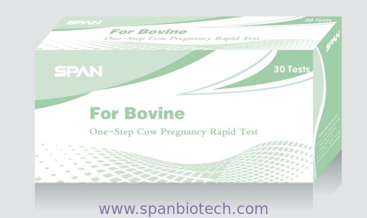 BP4 -  Bovine Pregnancy Rapid Test for Animal Tests - 6 specimens