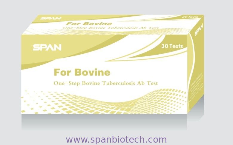One-Step Bovine Tuberculosis Ab Rapid Test - Cassette/Uncut Sheet
