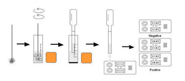 Canine Parvovirus Ag Rapid Test
