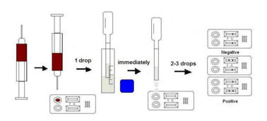 Feline Immunodeficiencyvirus Ab /Leukemiavirus Ag Test(FIV+FeLV)