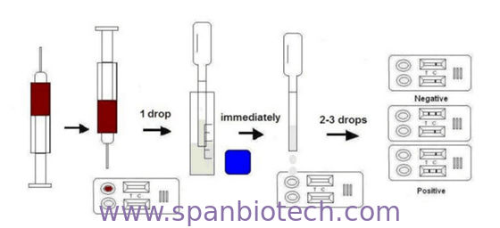 FIV Ab + FeLV Ag Combined Rapid Test