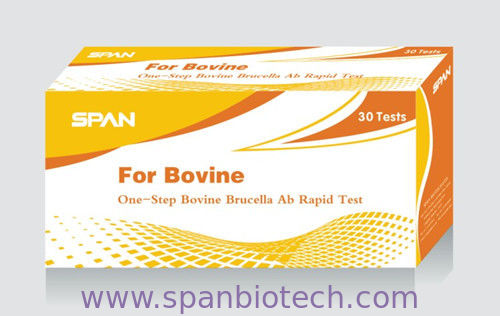 Bovine Brucella Ab Rapid Diagnostic Test