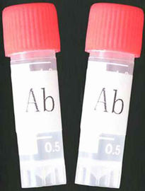 Monoclonal Antibody to Tricyclic (TCA)