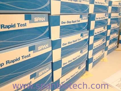 Avian Influenza Virus Ab Rapid Test