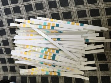 URS-4B Test,Glucose/Protein/pH/Blood,100strip/Bottle,pouch/box package