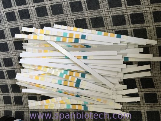 URS-9 Rapid Test,Nitrite/Urobilinogen/Protein/pH/Blood/Specific Gravity/Ketone/Bilirubin/Glucose