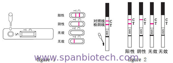 JEV IgG Rapid Diagnostic Test Cassette,WB/S/P
