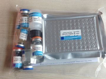 Human Collagen Type Ⅳ(COL Ⅳ) ELISA TEST Kit