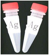 Tricyclic (TCA) BSA conjugant