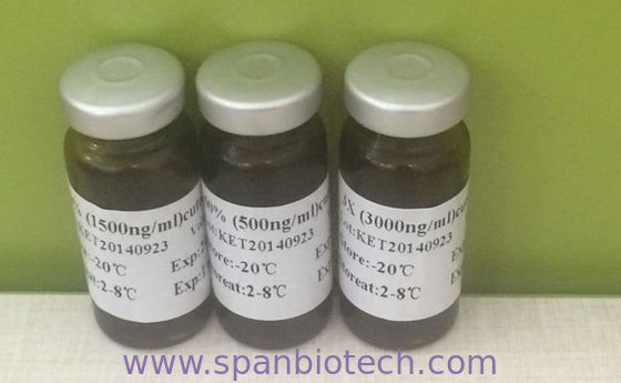 KET Test standard control