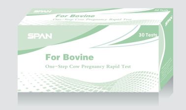 Cow Pregnancy Rapid Test - Easy for operation