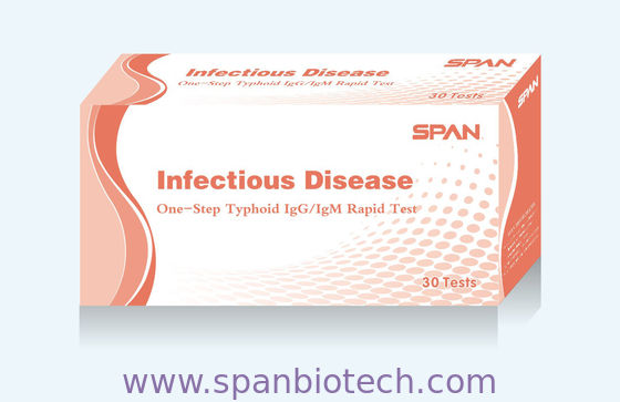 Typhoid IgG/IgM  Rapid Diagnostic Test Cassette (Serum / Plasma)