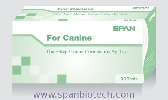 Canine Coronavirus Ag Rapid Test